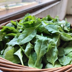 Baby Spinach 250 gms