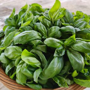 Italian Basil 125 gms