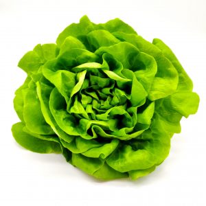 Butterhead Green Lettuce 100 gms