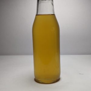 Plain Kombucha