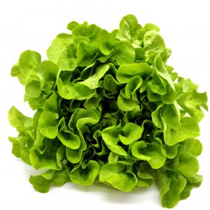 Green Oak Leaf Lettuce 150 gms