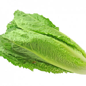 Lettuce Green Romaine 100 gms