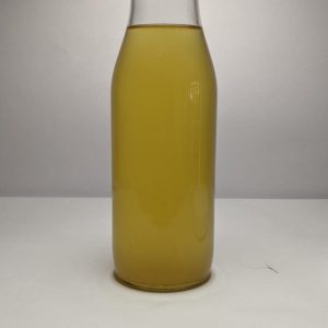 Supercharged Kombucha