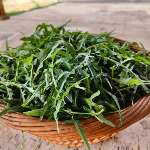 Wild Roquette 250 gms