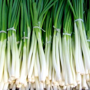 Spring Onion 250 gms