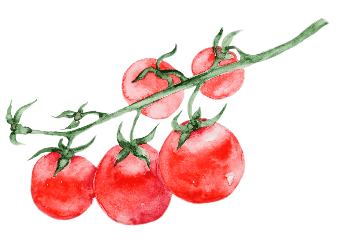 Tomato