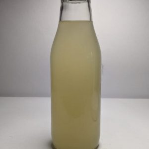 Spiced Cider Water Kefir