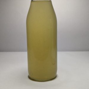 Tulsi Ginger Water Kefir