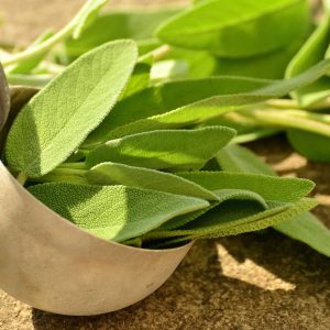 Sage 100 gms