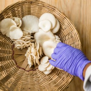 White Oyster Mushrooms 250 gms