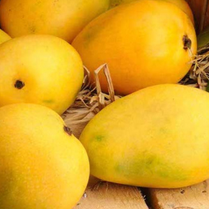 Mango Banganpalli/Safeda 500 gms