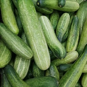 Cucumber (Desi) 500 gms