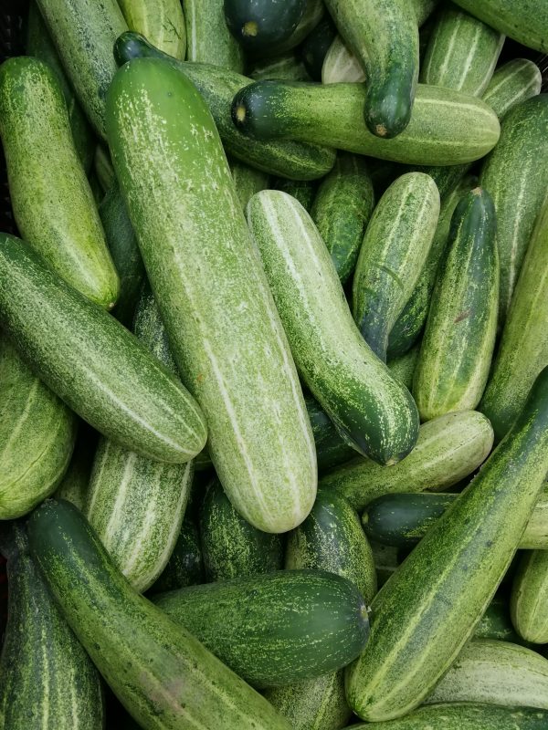 Cucumber (Desi) 500 gms