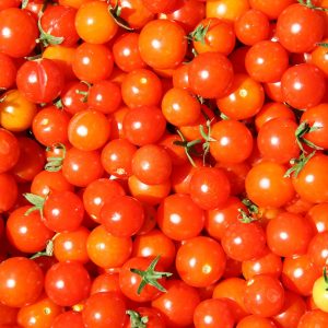 Cherry Tomato Red