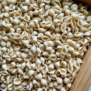 Conchiglie