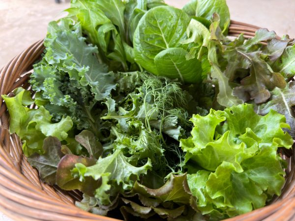 Salad Mix 250 gms