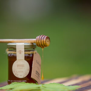 Stingless Bee Honey (Wild Flower)