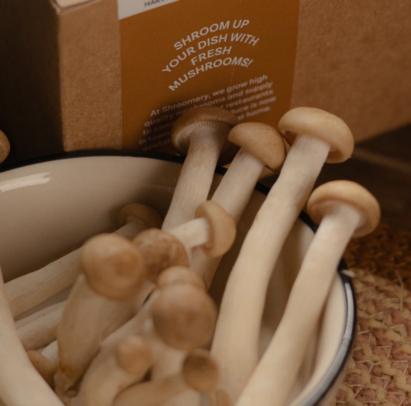 Brown Shimeji 200 Gms