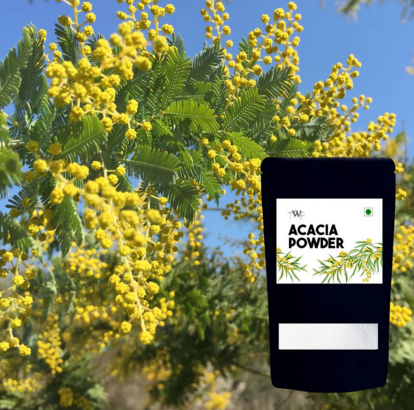 Acacia Powder